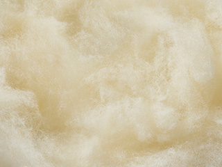 양모 패딩