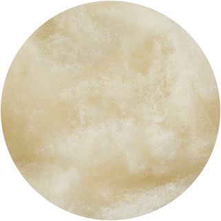 코웨이 CMSS-SP01SC BEREX 시그니처 매트리스 상세이미지 49